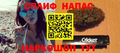 ПСИЛОЦИБИНОВЫЕ ГРИБЫ Кингисепп