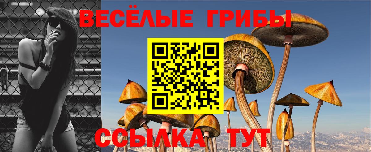 Псилоцибиновые грибы мицелий  сколько стоит  Ревда  Вход с VPN 